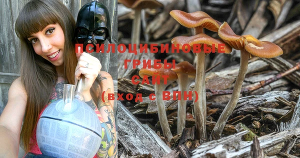 spice Строитель