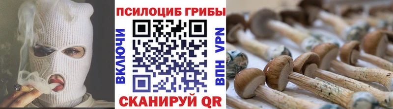 Галлюциногенные грибы GOLDEN TEACHER  Купить где  Усть-Илимск 